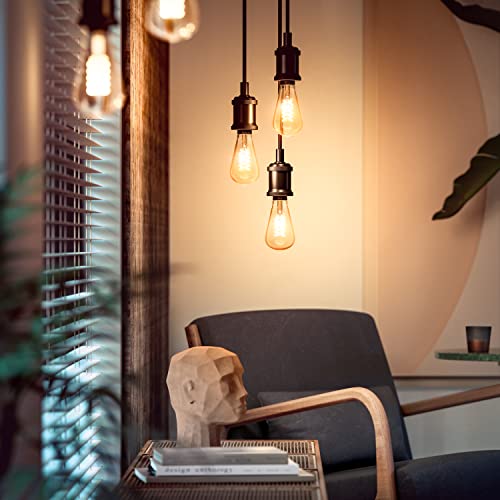 Philips Hue White Edison - LED filament light bulb - shape: ST72 - E27 - 7 W (equivalent 40 W) - class A+ - warm white light - 2100 K