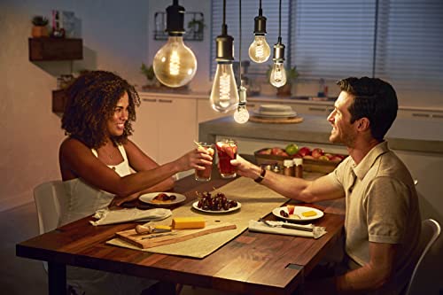 Philips Hue White Edison - LED filament light bulb - shape: ST72 - E27 - 7 W (equivalent 40 W) - class A+ - warm white light - 2100 K