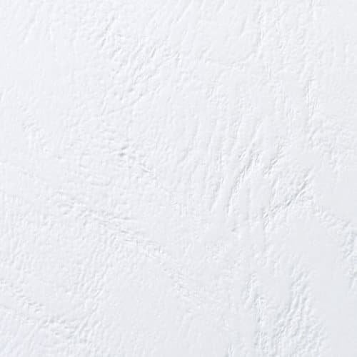 Best Value GBC LeatherGrain Leather Grain Cover Plates, Size A4 (250g / m2, White, Pack of 100)