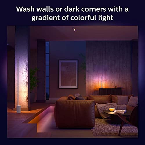 Philips Hue White and Colour Ambiance Gradient Signe - Floor lamp - LED - 29 W - class G - 2000-6500 K - white