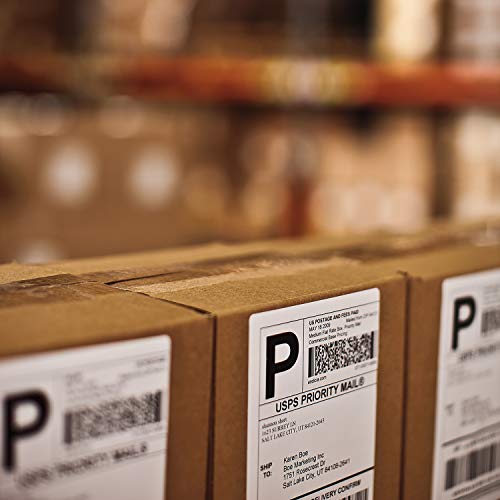 Shipping labels - 104 x 159 mm - 220 label(s) ( 1 roll(s) x 220 ) - for DYMO LabelWriter - S0904980