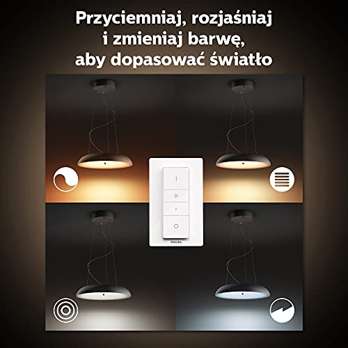 Philips Hue White ambiance Amaze - Pendant lamp - LED - 25 W (equivalent 204 W) - class F - warm to cool white light - 2200-6500 K - black