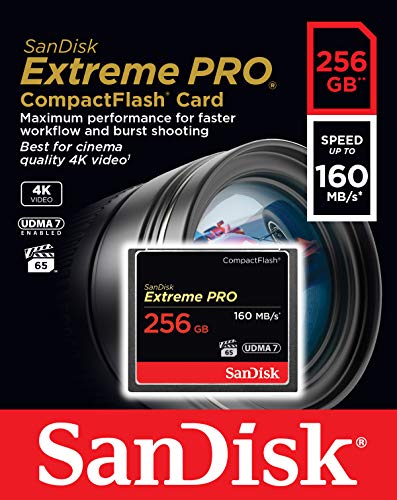 SanDisk Extreme Pro - Flash memory card - 256 GB - 933x/1067x - CompactFlash