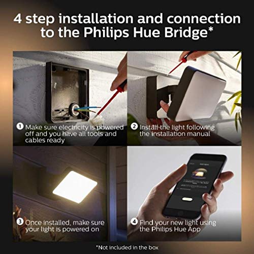 Philips Hue White and Color Ambiance Discover - Floodlight - LED - 15 W - LED class A - black