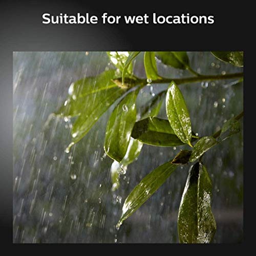 Philips Hue White and Color Ambiance Discover - Floodlight - LED - 15 W - LED class A - black