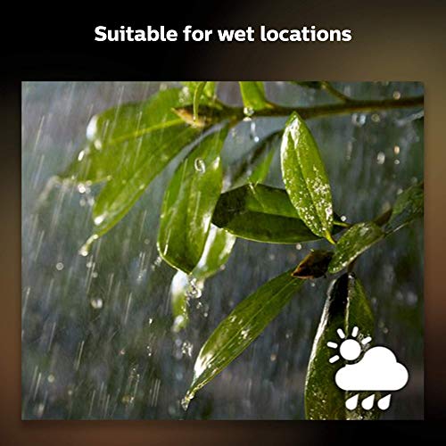 Philips Hue White and Color Ambiance - Light strip - LED - 19 W - LED class A - warm white to cool daylight - 2000-6500 K - multicolour