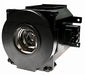 Best Value Diamond Lamps NP21LP/60003224330W Projection Lamp-Projection Lamp (330Watt, 3000Hours, NEC NP-PA500U, NP-PA500X, NP-PA550W, NP-PA600X, PA500U, PA600X, PA500X, PA550W)