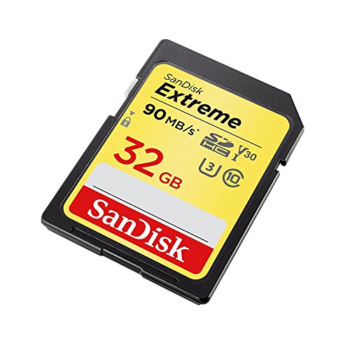 Extreme Plus 32GB SDHC Mem Card 90MBs