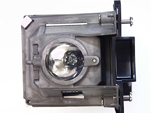 Best Value NEC 225W Lamp Module for V300X/V300W Projectors