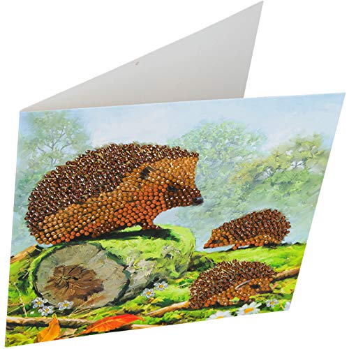 Crystal Art Happy Hedgehog 18 x 18cm Card CCK-A69