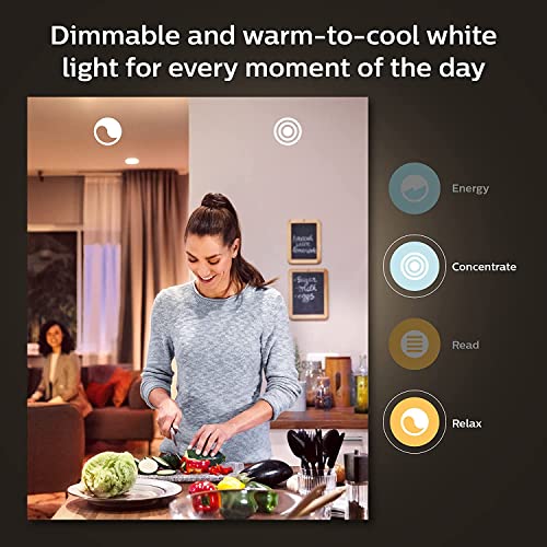 Philips Hue White ambiance - LED light bulb - shape: A67 - E27 - 13 W (equivalent 100 W) - class F - warm to cool white light - 2200-6500 K