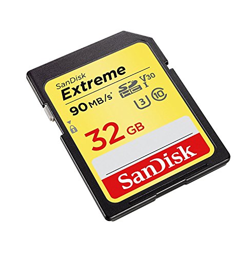 Extreme Plus 32GB SDHC Mem Card 90MBs