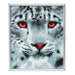 Crystal Art Snow Leopard 21 x 25cm Picture Frame Kit CAM-15