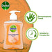 Dettol Hand Wash Nourish Moisture Grapefruit 250ml | AMAZON BANNED JULY 2021