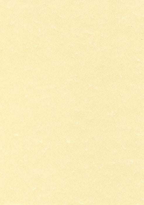 Best Value DECAdry Letterhead Presentation Paper Everyday 95gsm A4 Champagne Ref DPPCL1601 [100 Sheets]