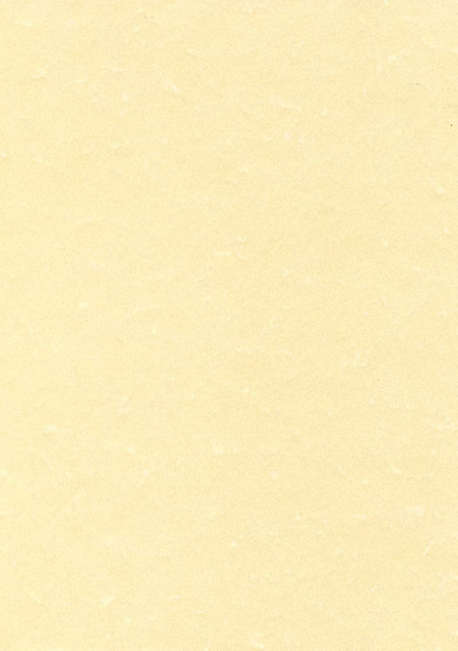 Best Value DECAdry Letterhead Presentation Paper Everyday 95gsm A4 Champagne Ref DPPCL1601 [100 Sheets]
