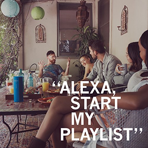 Ultimate Ears MEGABLAST - Speaker - for portable use - wireless - Bluetooth, Wi-Fi - red