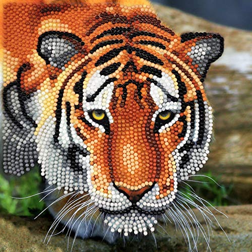 Crystal Art Tiger 18 x 18cm Card CCK-A40