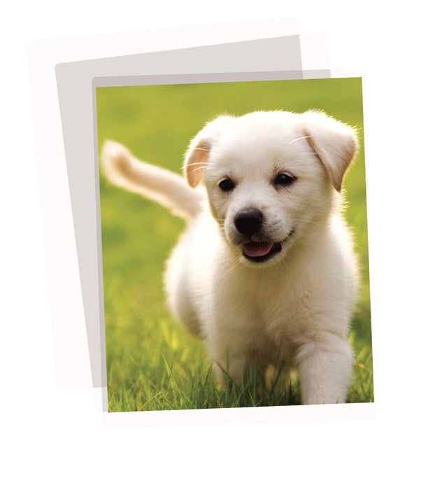 Best Value Apex A3 Medium Duty 125 Micron Lamination Pouches (Pack of 100)