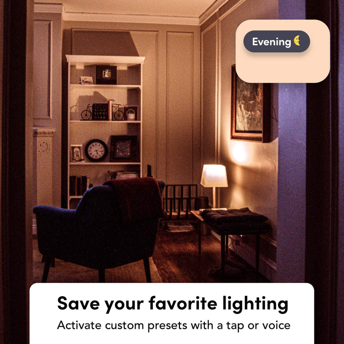 LIFX WHITE - LED light bulb - E27 - 8.5 W (equivalent 60 W) - class F - warm white light - 2700 K - white (pack of 2)