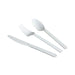 Biodegradable and Compostable CPLA Cutlery Spoon (Pack of 50) ZHGCPLA-S