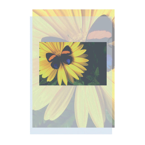 Cut Flush Folder Embossed (Pack of 100) PM22180C2