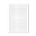 A4 Loose Leaf Graph Paper (Pack of 500) 100103410